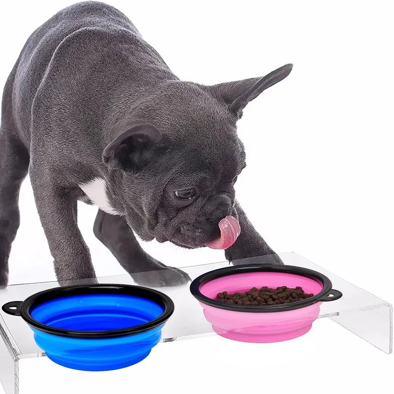 Pet water fountain