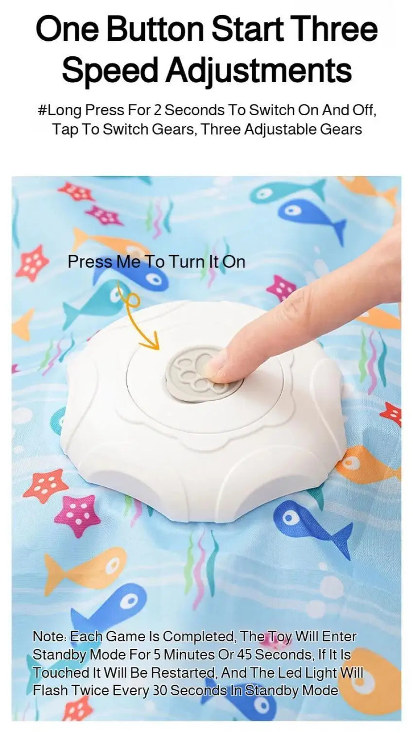 Cat Interactive Hide and Seek Toy